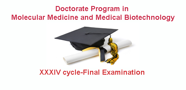 Doctorate Program - 34° cycle - Final Examination
